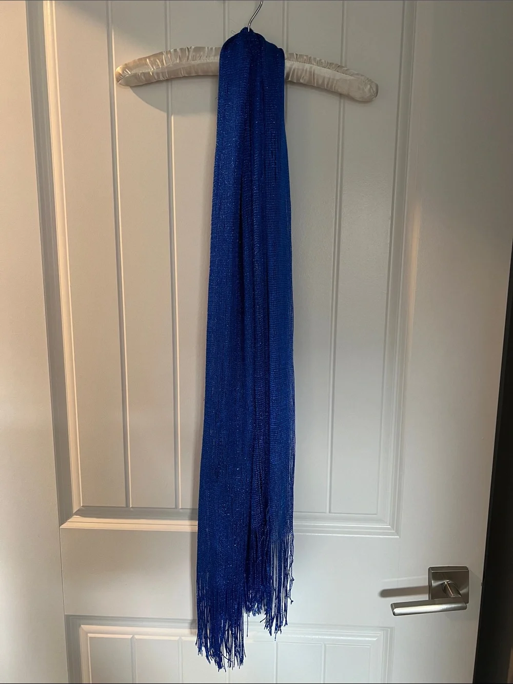 Blue Metallic Fringe Scarf - Women Accessories